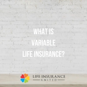 variable life insurance