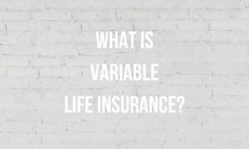 variable life insurance